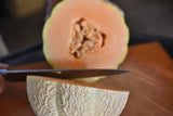 Schoon's Hardshell Melon (Cucumis melo)