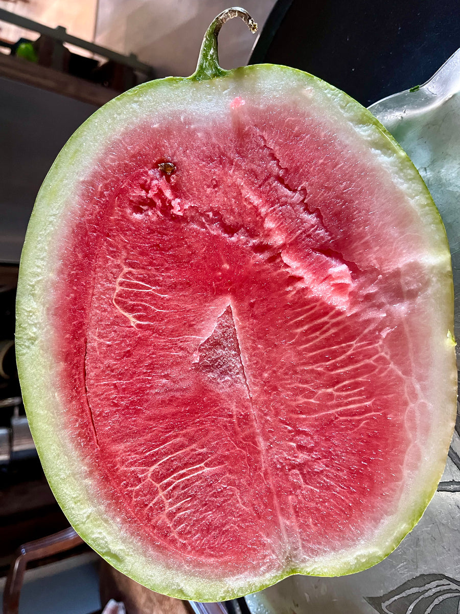 Crimson Sweet Watermelon (Citrullus lanatus)