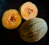 Burrell Gem Melon (Cucumis melo)