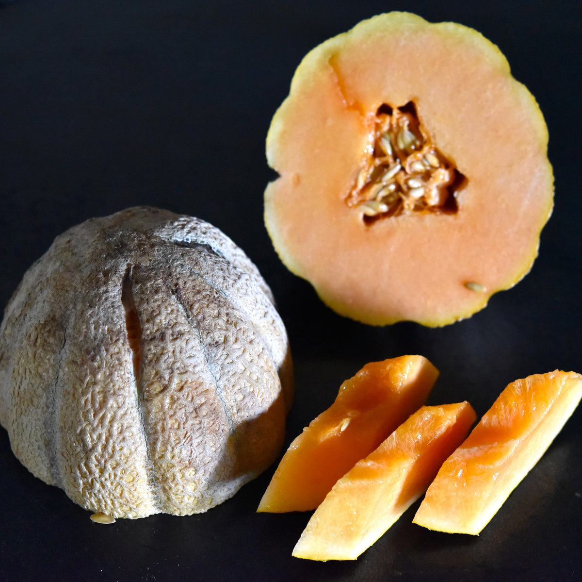 Square_1200x1200.jpg?v=1703190655