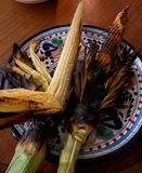 Concho Corn (Zea mays)