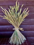 Decorative Grain Bundle with Braid Tie -  Pueblo Seed & Food Co | Cortez, Colorado
