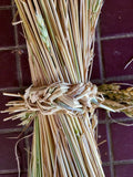 Decorative Grain Bundle with Braid Tie -  Pueblo Seed & Food Co | Cortez, Colorado