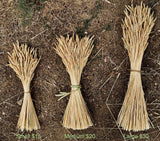 Decorative Grain Bundle with Braid Tie -  Pueblo Seed & Food Co | Cortez, Colorado