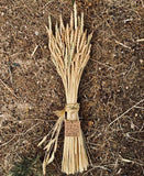 Decorative Grain Bundle with Braid Tie -  Pueblo Seed & Food Co | Cortez, Colorado