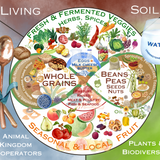 The Regenerative Plate Experience: Sept 12-13