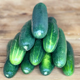 Marketmore Cucumber (Cucumis Sativus)