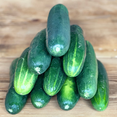 Marketmore Cucumber (Cucumis Sativus)