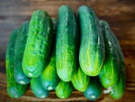 Marketmore Cucumber (Cucumis Sativus)