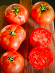 Burrell's Special Tomato (Solanum lycopersicum)
