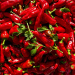 Chile de Agua  (Capsicum annuum)