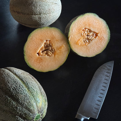 Burrell Gem Melon (Cucumis melo)