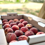 Fresh Peaches