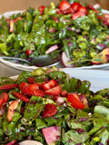 The Regenerative Plate Experience: Sept 12-13