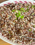 The Regenerative Plate Experience: Sept 12-13