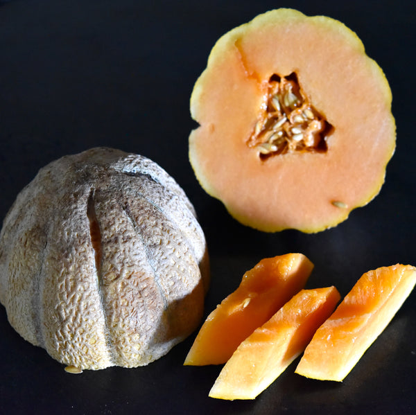 melon様 Square_600x600.jpg?v=1703190655