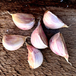 Georgian Crystal Garlic
