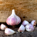 Georgian Crystal Garlic