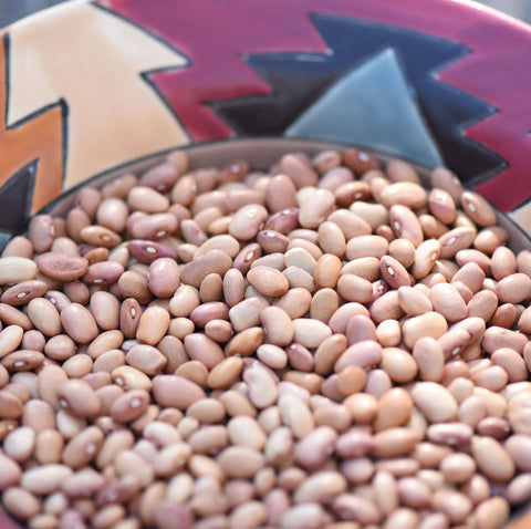 Bolita Beans (Phaseolus vulgaris) -  Pueblo Seed & Food Co | Cortez, Colorado