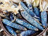 Blue Corn Biscochito Cookies -  Pueblo Seed & Food Co | Cortez, Colorado