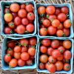 Peacevine Cherry Tomato (Solanum lycopersicum)