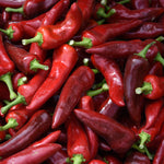 Pueblo Chile, Fresh -  Pueblo Seed & Food Co | Cortez, Colorado