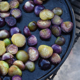 Purple Tomatillo (Physalis ixocarpa) -  Pueblo Seed & Food Co | Cortez, Colorado