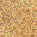 Sacaton Brown Tepary Bean (Phaseolus acutifolius) -  Pueblo Seed & Food Co | Cortez, Colorado