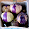 Purple Tomatillo (Physalis ixocarpa)