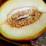 Ananas Melon (Cucumis melo) -  Pueblo Seed & Food Co | Cortez, Colorado