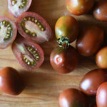 Black Plum Tomato (Solanum lycopersicum) -  Pueblo Seed & Food Co | Cortez, Colorado