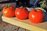 Burrell's Special Tomato (Solanum lycopersicum) -  Pueblo Seed & Food Co | Cortez, Colorado