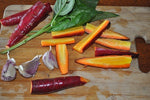 Cosmic Purple Carrot (Daucus carota) -  Pueblo Seed & Food Co | Cortez, Colorado