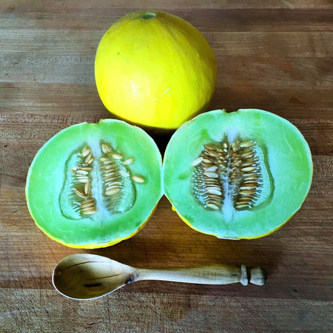 Golden Honeymoon (Cucumis melo) -  Pueblo Seed & Food Co | Cortez, Colorado