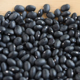 Hopi Black Bean (Phaseolus vulgaris) -  Pueblo Seed & Food Co | Cortez, Colorado