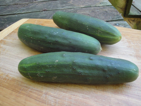 Marketmore Cucumber (Cucumis Sativus) -  Pueblo Seed & Food Co | Cortez, Colorado