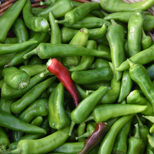 Pueblo Chilé (Capsicum annuum) -  Pueblo Seed & Food Co | Cortez, Colorado