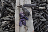 Purple Guatemalan Fava Bean (Vicia faba) -  Pueblo Seed & Food Co | Cortez, Colorado