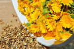 Resina Calendula Flower (Calendula officinalis) -  Pueblo Seed & Food Co | Cortez, Colorado