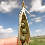 Speckled Peas -  Pueblo Seed & Food Co | Cortez, Colorado