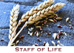 Farm Life Greeting Cards -  Pueblo Seed & Food Co | Cortez, Colorado