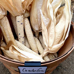 White Corn Chile Grits -  Pueblo Seed & Food Co | Cortez, Colorado